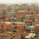 Image for article titled The Weirdest Urban Ecosystems On Earth